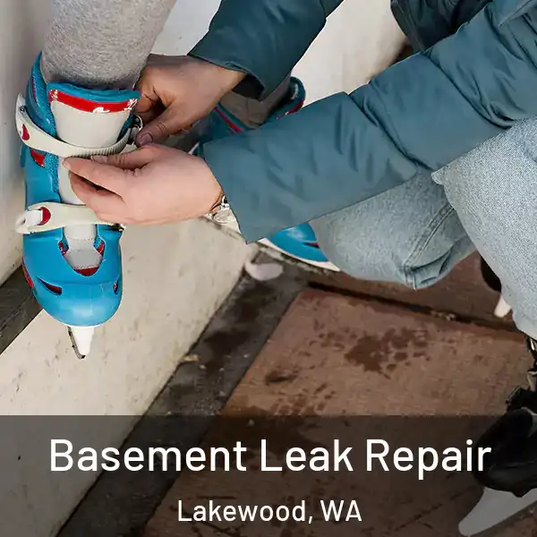 Basement Leak Repair Lakewood, WA