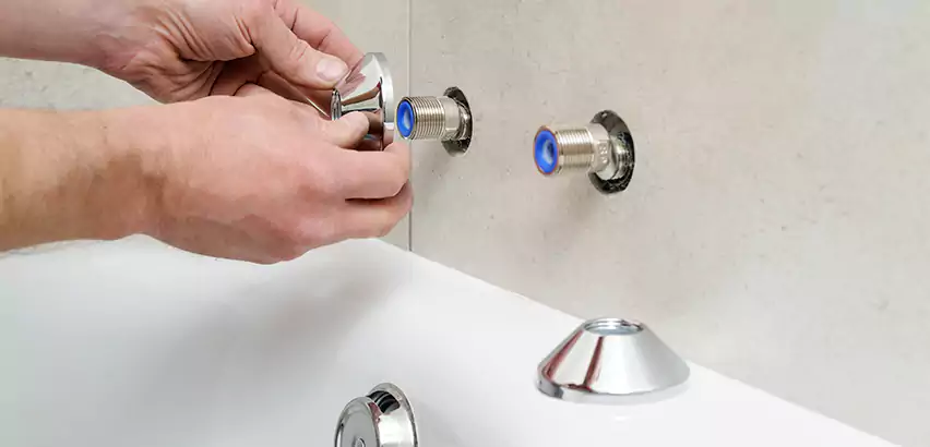 Bathtub Faucet Diverter Replacement in Lakewood