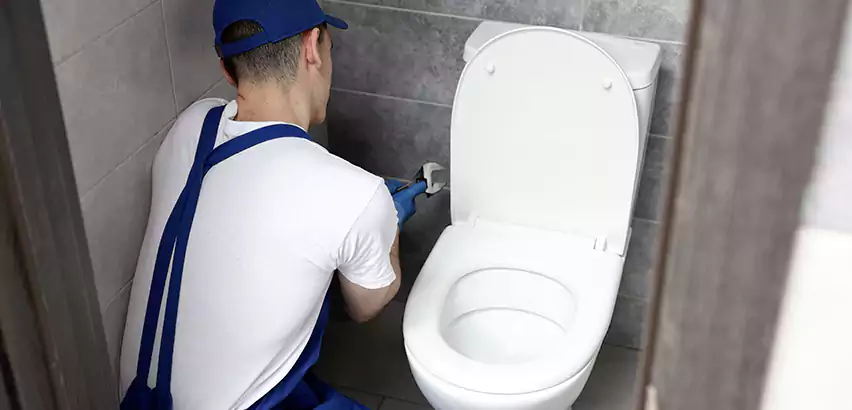 Toilet Lid Replacement in Lakewood
