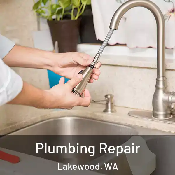  Plumbing Repair Lakewood, WA