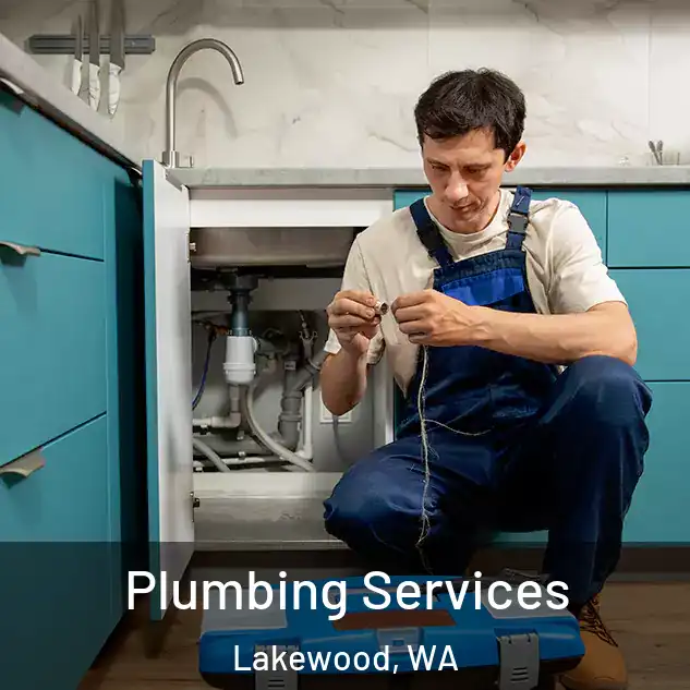Plumbing Services Lakewood, WA