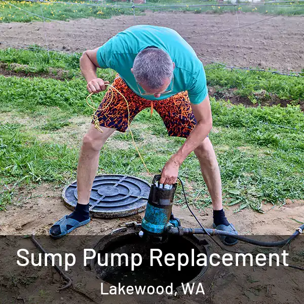  Sump Pump Replacement Lakewood, WA