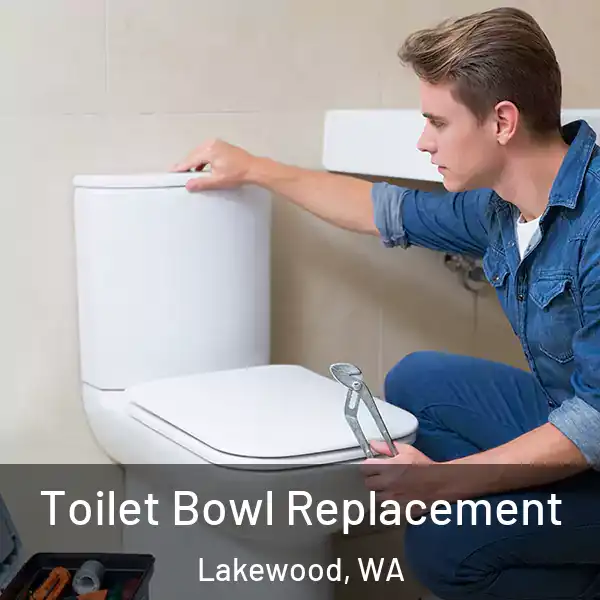  Toilet Bowl Replacement Lakewood, WA