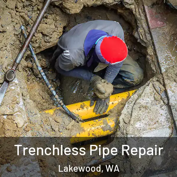  Trenchless Pipe Repair Lakewood, WA