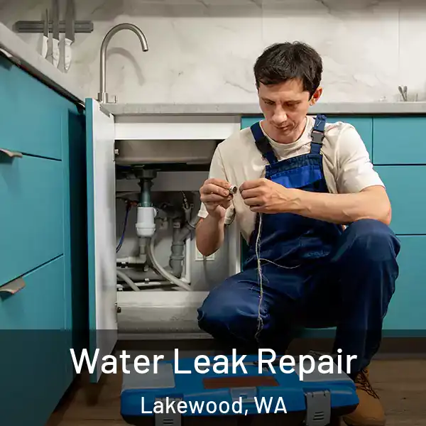  Water Leak Repair Lakewood, WA